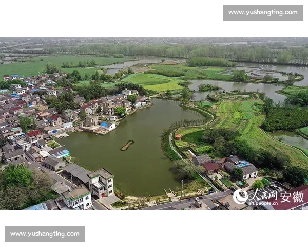 芜湖乡村文旅季 “村钓” 收竿：千顷碧波间的渔乐终章