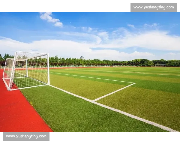 秦皇岛笼式足球:小场地踢活体育消费大市场